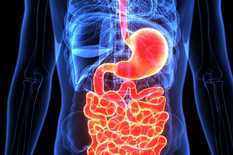 Gastrointestinal Bezoar ve İleus: Belirtiler, Tanı ve Klinik Sonuçlar