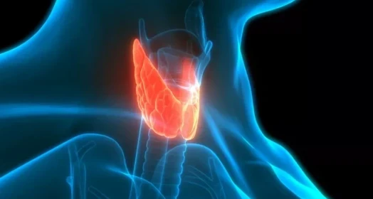 Tiroid Nedir? Belirtileri, Nedenleri ve Tedavisi