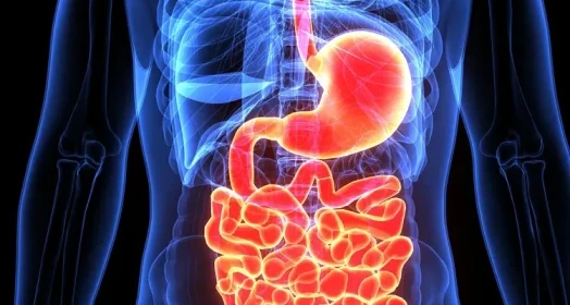 Gastrointestinal Bezoar ve İleus: Belirtiler, Tanı ve Klinik Sonuçlar