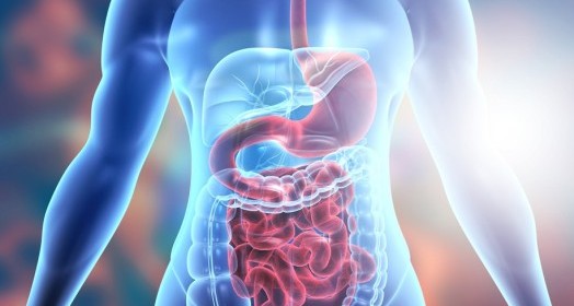 Gastrointestinal Bezoar Nedir? Belirtiler ve Tedavi Yöntemleri