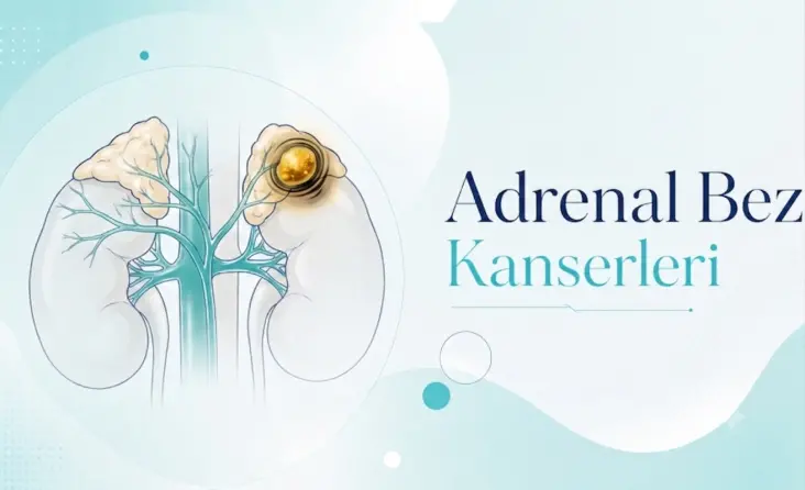 Adrenal gland (böbrek üstü bezi) tedavisi