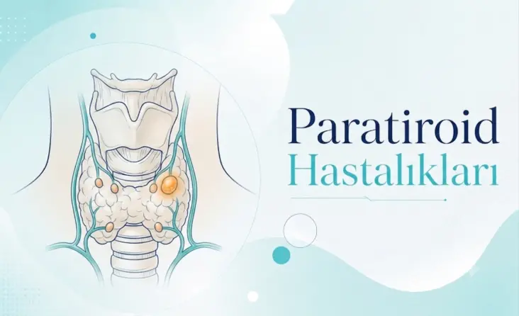 Paratiroid (Tiroid yanı bezi) Hastalıkları tedavisi