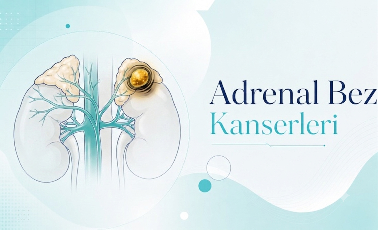 Adrenal gland (böbrek üstü bezi) — Doç. Dr. Vahit Mutlu