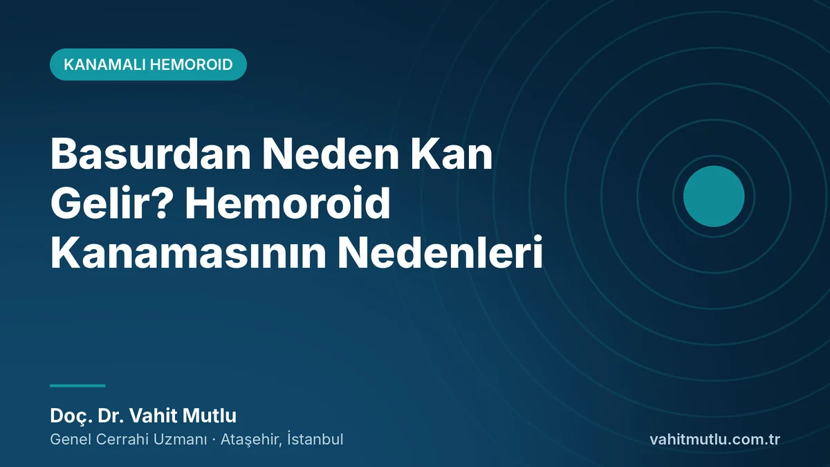 Basurdan Neden Kan Gelir? Hemoroid Kanamasının Nedenleri
