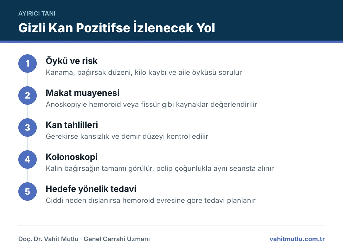 Gaitada gizli kan hemoroid şüphesinde öykü, makat muayenesi, kan tahlili, kolonoskopi ve tedavi adımlarını gösteren şema
