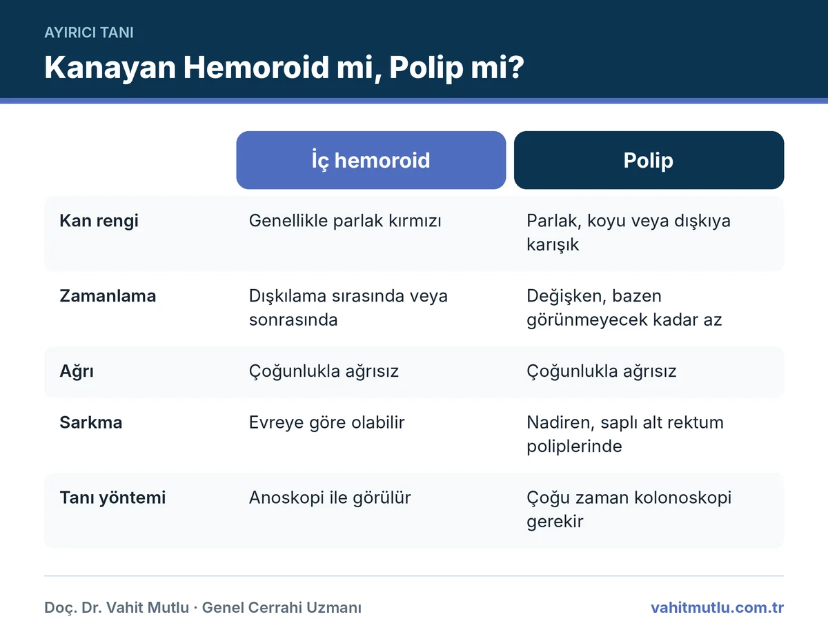 Hemoroid ve polip kanamasını renk, zamanlama, ağrı, sarkma ve tanı yöntemi açısından karşılaştıran tablo infografiği