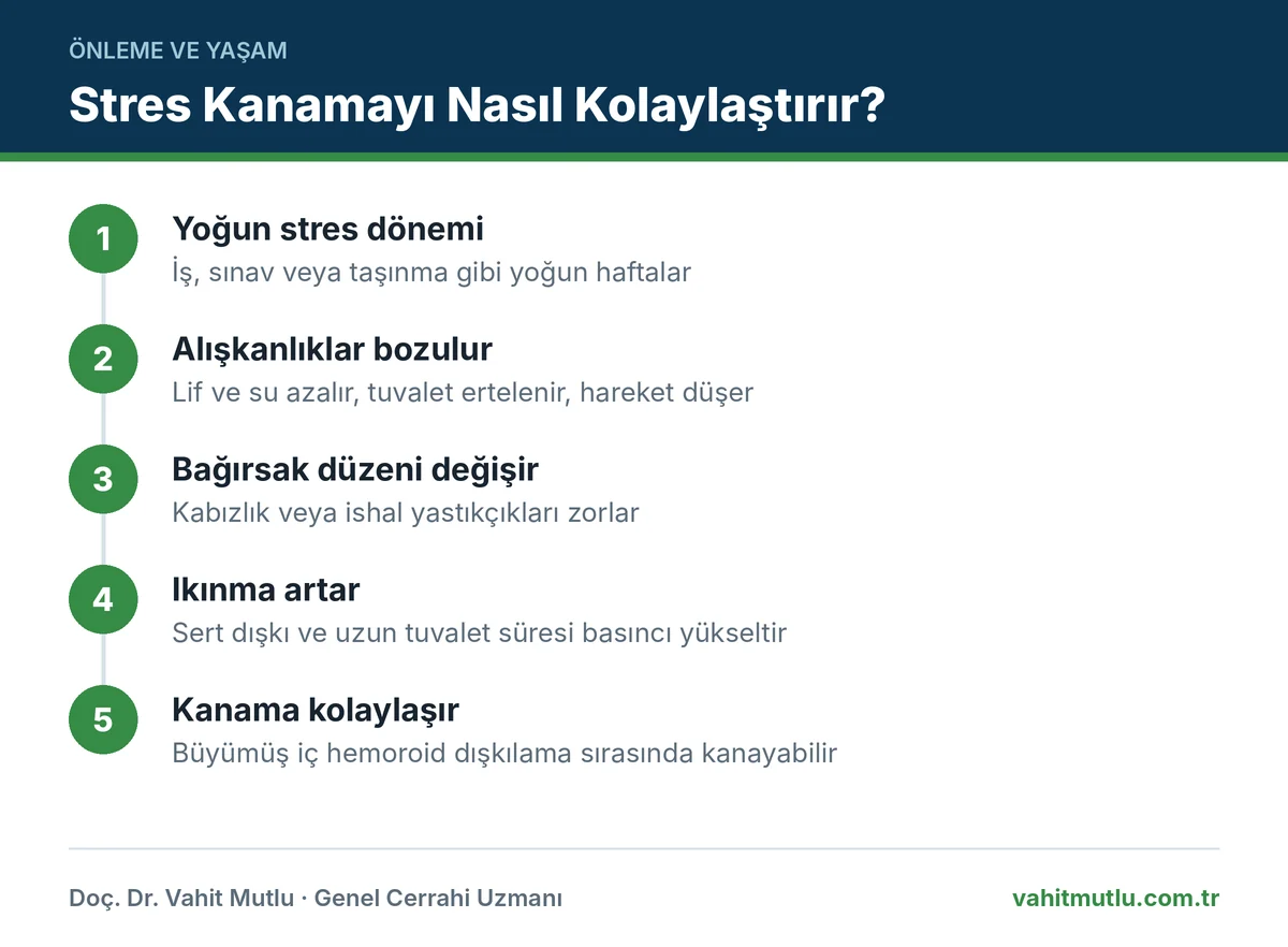 Stres hemoroid ilişkisini gösteren akış: stres, bağırsak düzeni bozulması, sert dışkı ve ıkınma, iç hemoroid kanaması