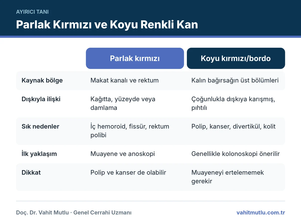 Koyu renkli kan parlak kırmızı kan farkı: kaynak bölge, dışkıyla ilişki, sık nedenler ve önerilen yaklaşım