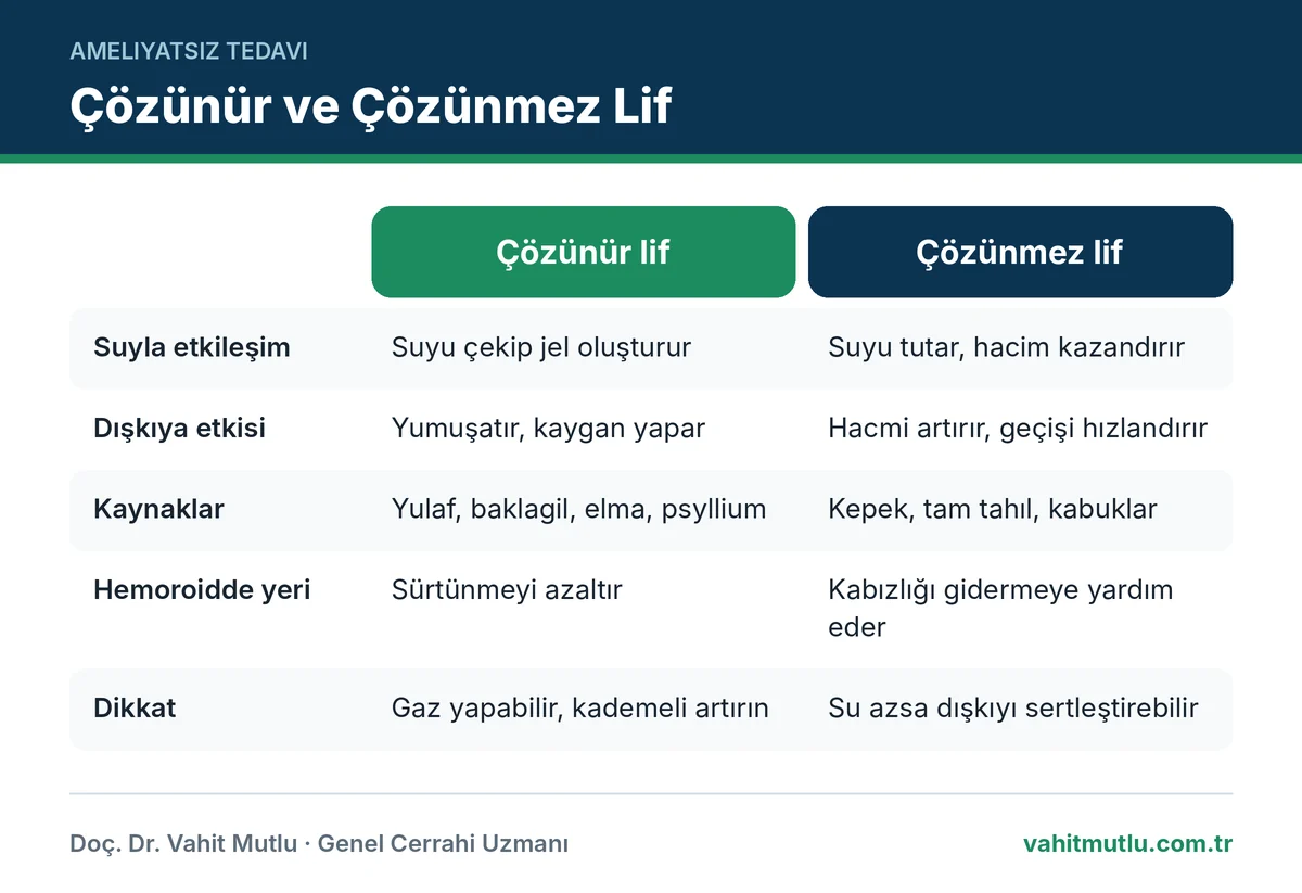 Lifli beslenme hemoroid ilişkisinde çözünür ve çözünmez lifin etkisi ve kaynaklarını karşılaştıran şema