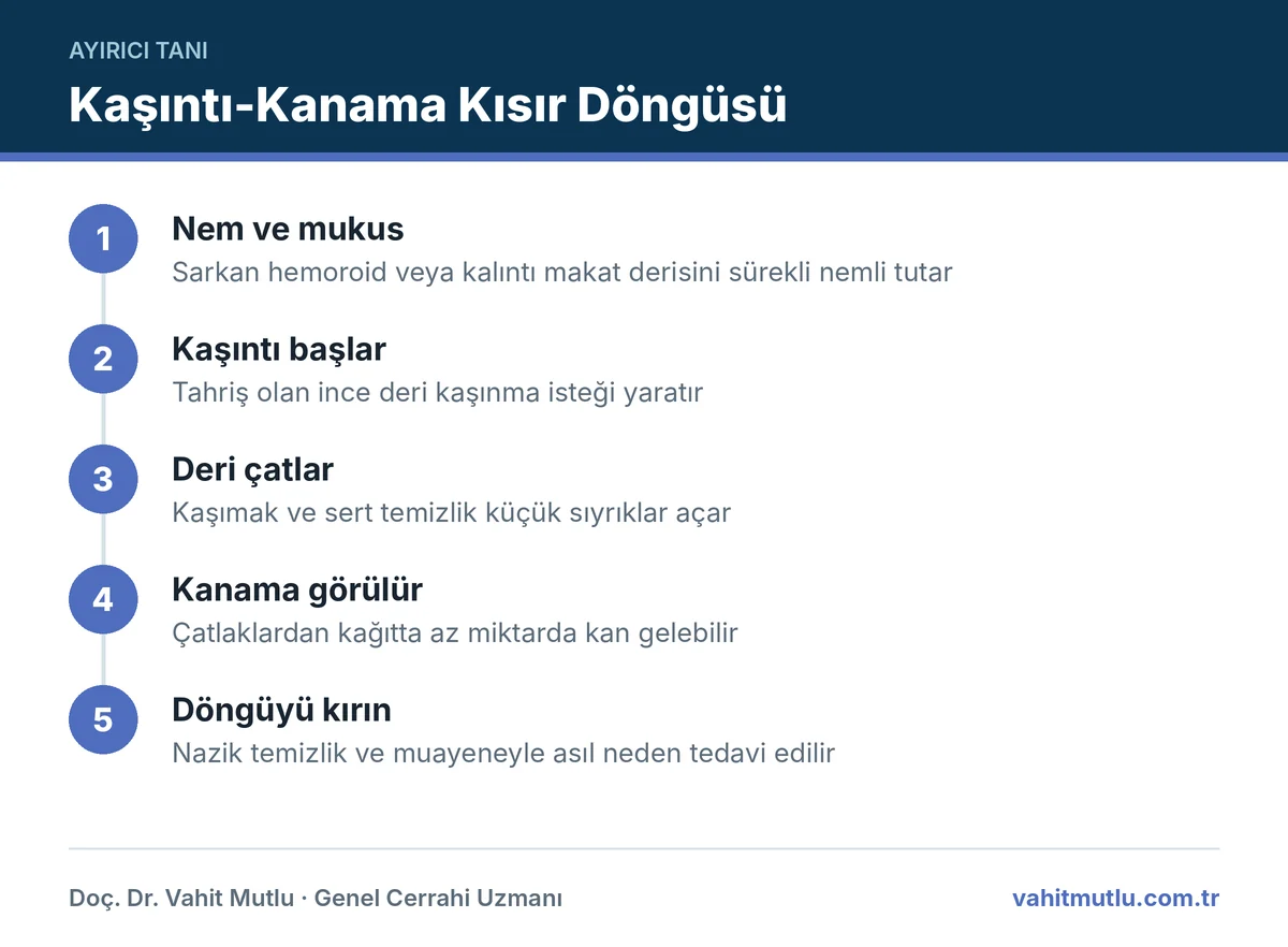 Makatta kanama ve kaşıntı döngüsü: nem ve mukus, kaşıntı, deri çatlakları, kanama ve döngüyü kırmak için muayene adımları