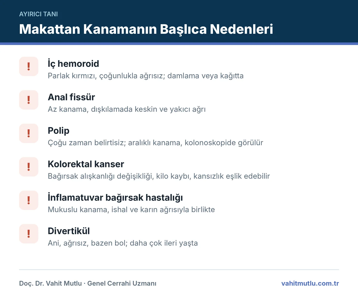 Makattan kanama nedenleri ve ipuçları: iç hemoroid, anal fissür, polip, kolorektal kanser, inflamatuvar hastalık, divertikül