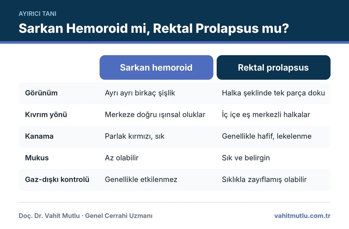 Rektal prolapsus hemoroid farkı: görünüm, kıvrım yönü, kanama, mukus ve gaz-dışkı kontrolünü karşılaştıran infografik