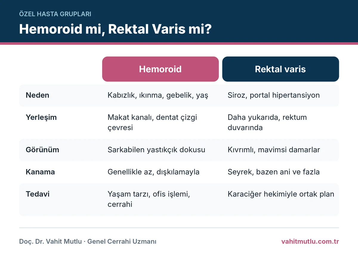 Rektal varis hemoroid farkı: neden, yerleşim, görünüm, kanama ve tedavi açısından iki durumun karşılaştırması