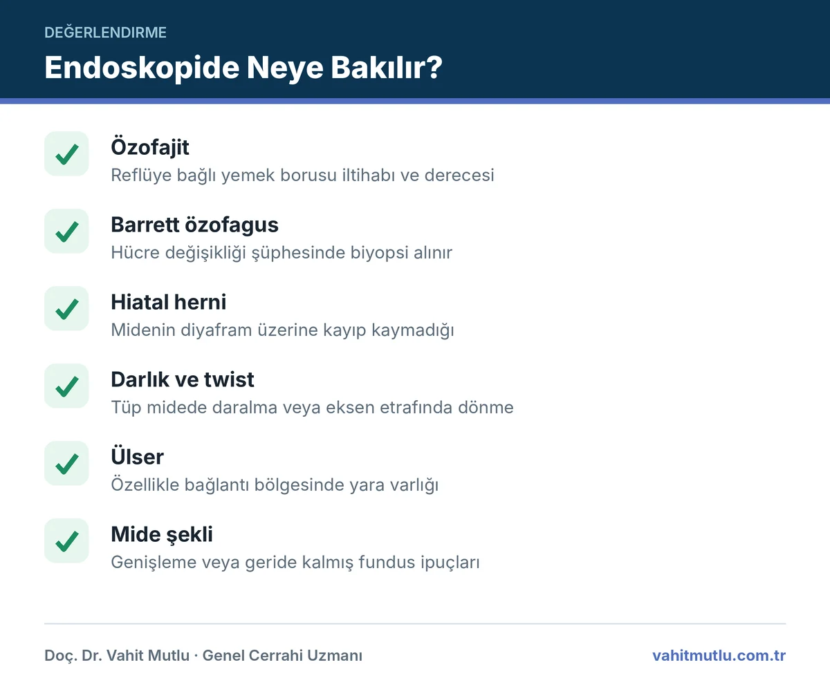 Revizyon öncesi endoskopi ile değerlendirilen bulgular: özofajit, Barrett, hiatal herni, darlık ve ülser