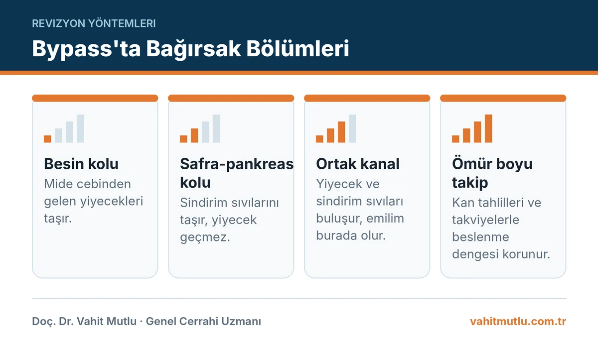 Bypass bağırsak uzunluğu revizyon planında besin kolu, safra kolu, ortak kanal ve takip