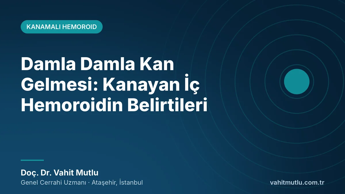Damla Damla Kan Gelmesi: Kanayan İç Hemoroidin Belirtileri