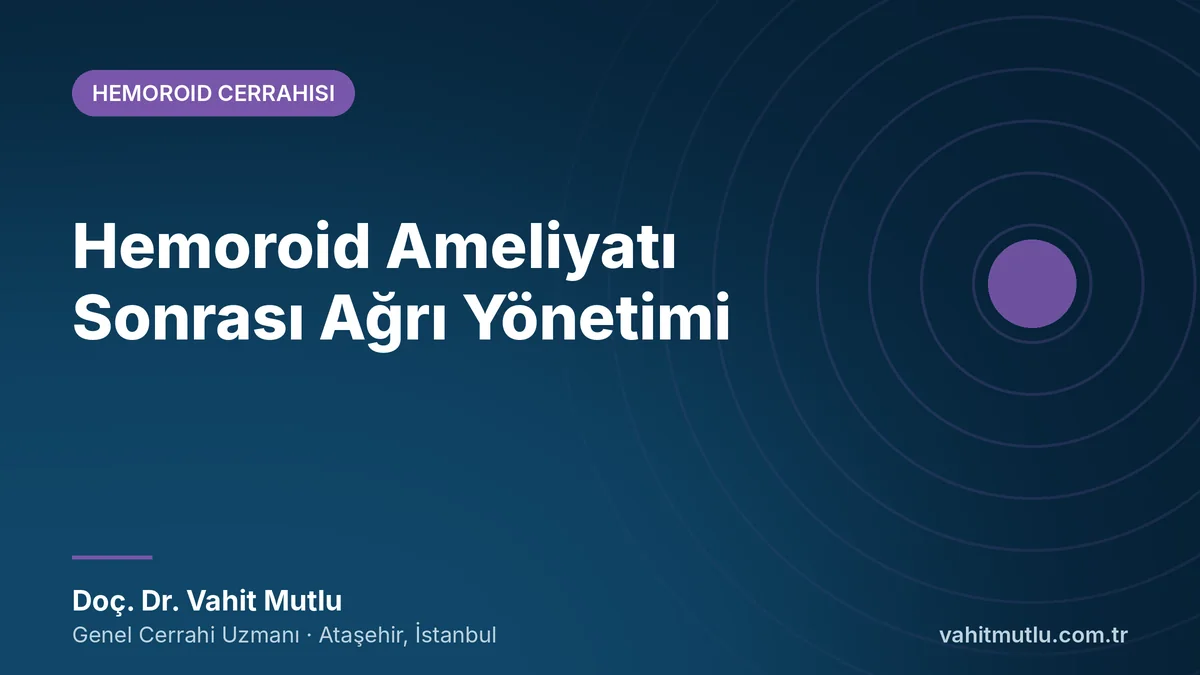 Hemoroid Ameliyatı Sonrası Ağrı Yönetimi