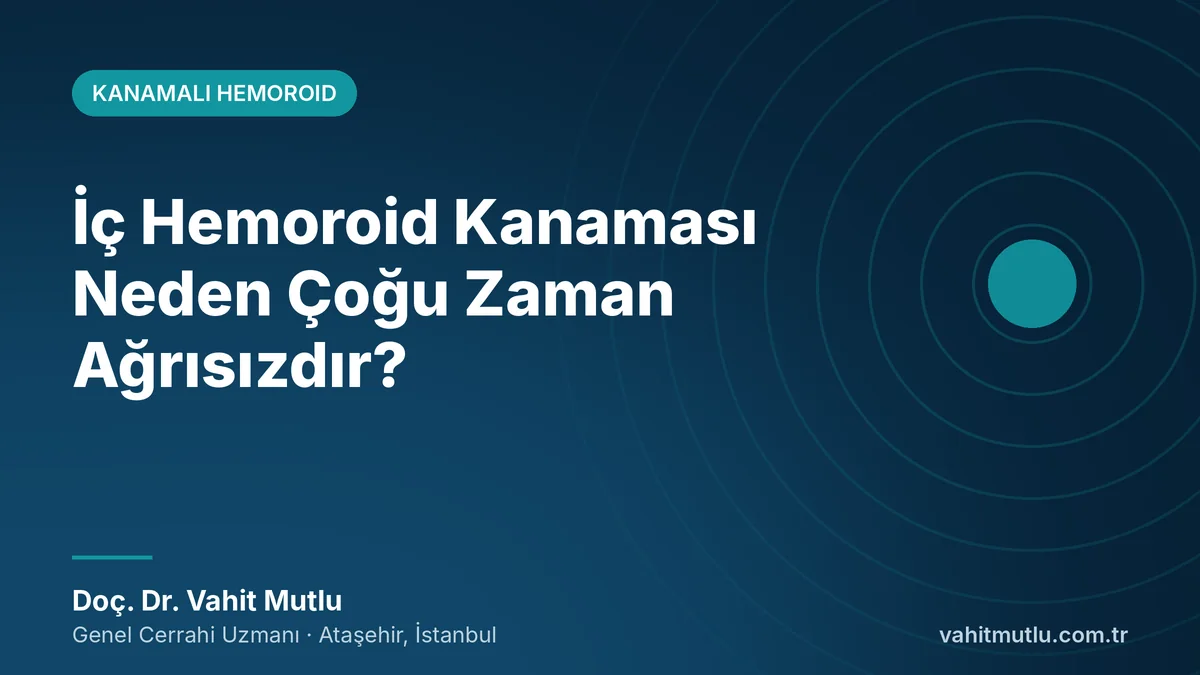 İç Hemoroid Kanaması Neden Çoğu Zaman Ağrısızdır?