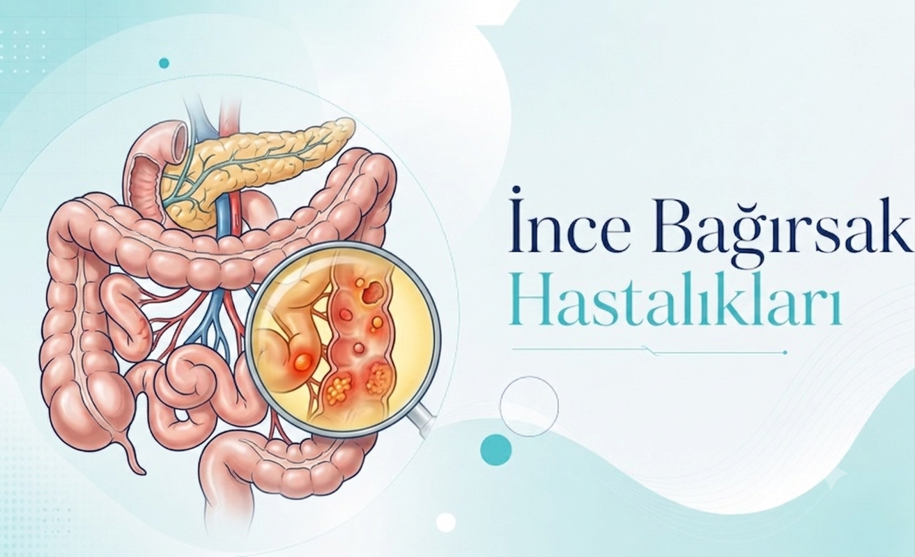 İnce Bağırsak Hastalıkları