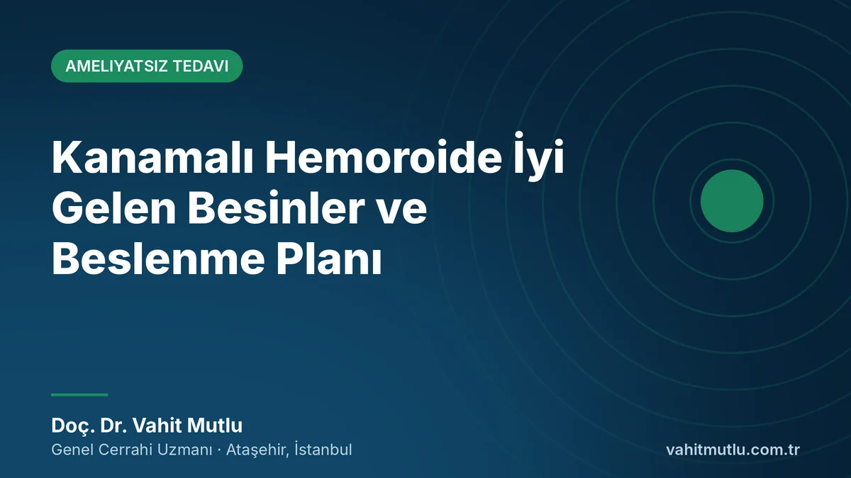 Kanamalı Hemoroide İyi Gelen Besinler ve Beslenme Planı