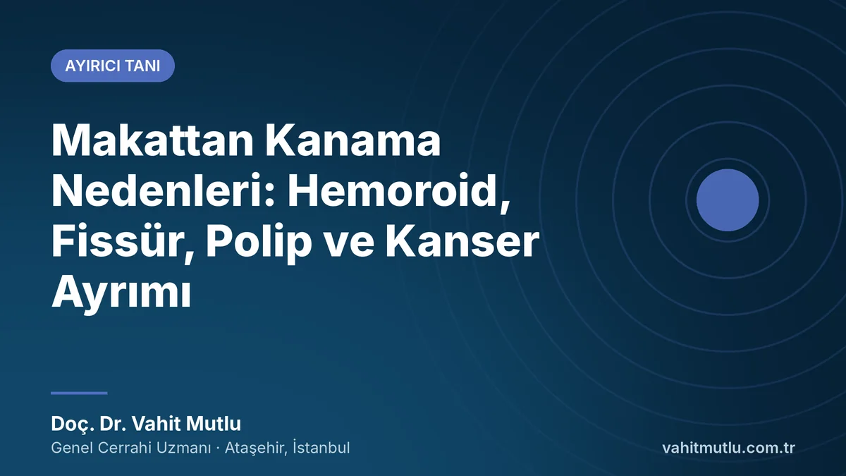 Makattan Kanama Nedenleri: Hemoroid, Fissür, Polip ve Kanser Ayrımı