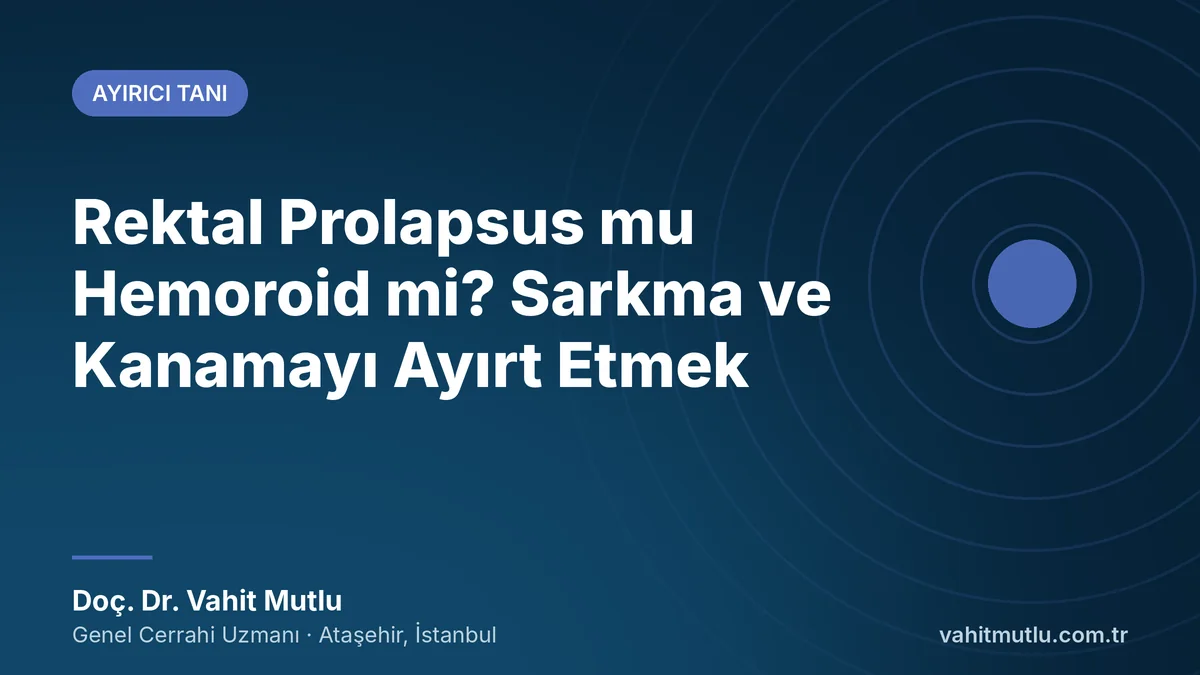 Rektal Prolapsus mu Hemoroid mi? Sarkma ve Kanamayı Ayırt Etmek