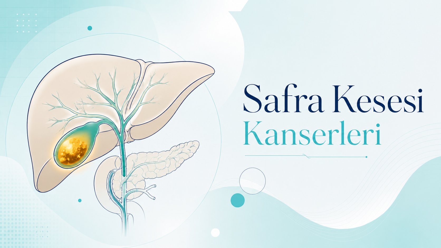 Safra Kesesi Kanserleri