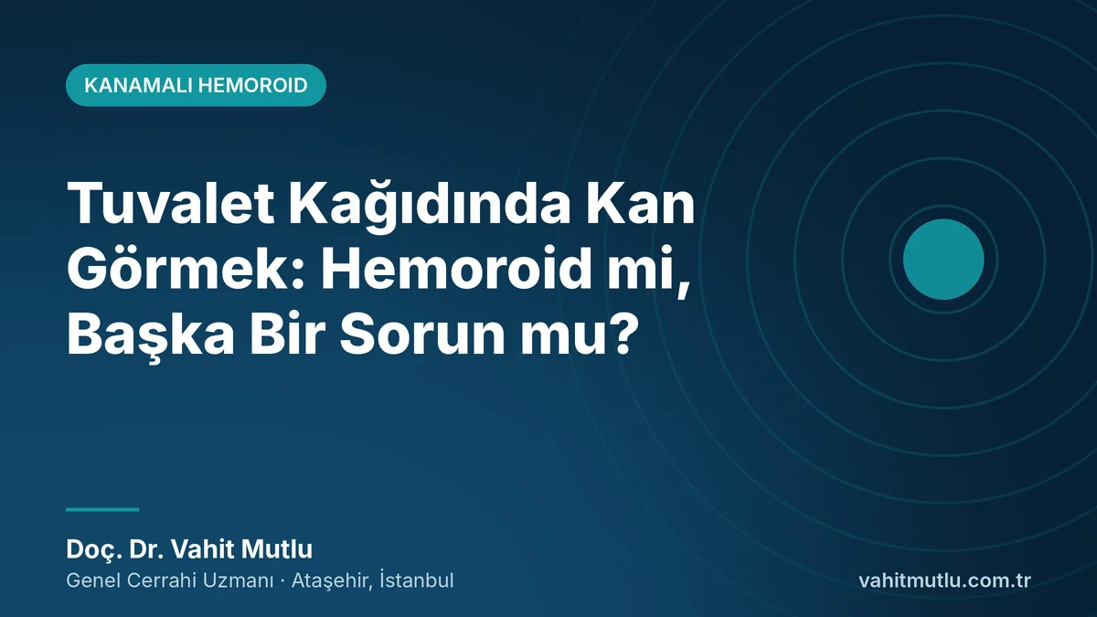 Tuvalet Kağıdında Kan Görmek: Hemoroid mi, Başka Bir Sorun mu?